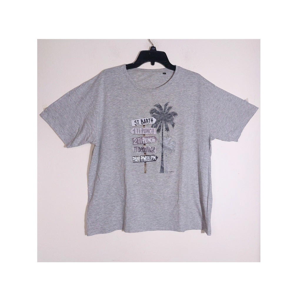 Famous Brand Mens Grey St Barth Palm Tree Graphic T Shirt Short Sleeve